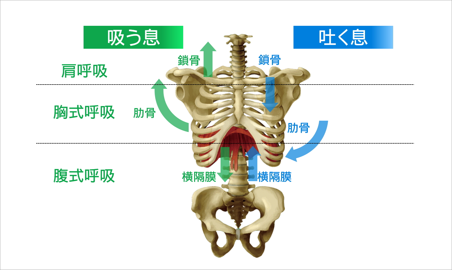 笑い呼吸法